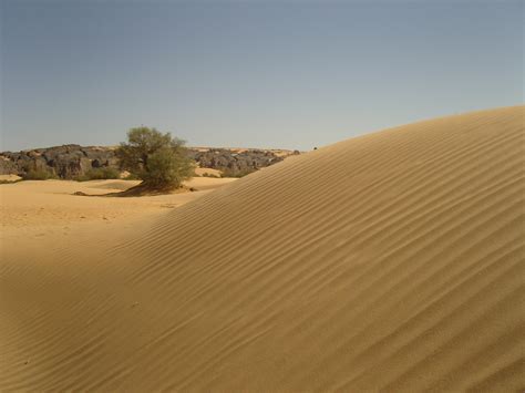 Free Images Landscape Sand Desert Dune Material Dunes Grassland