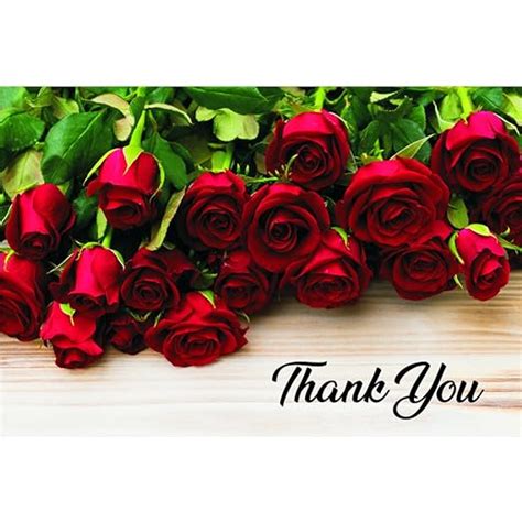 Red Roses Thank You Postcards 4in X 6in 25 Health