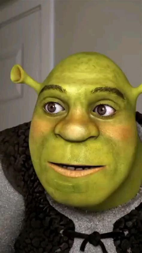 Shrek Serelepe Shrek Engraçado Shrek Frases Engraçadas De Filmes