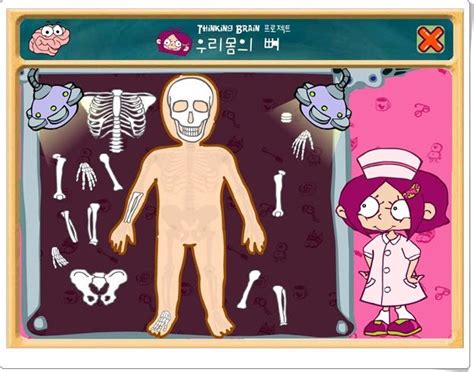 Esqueleto De Mx Cuerpo Humano Para Niños Juegos