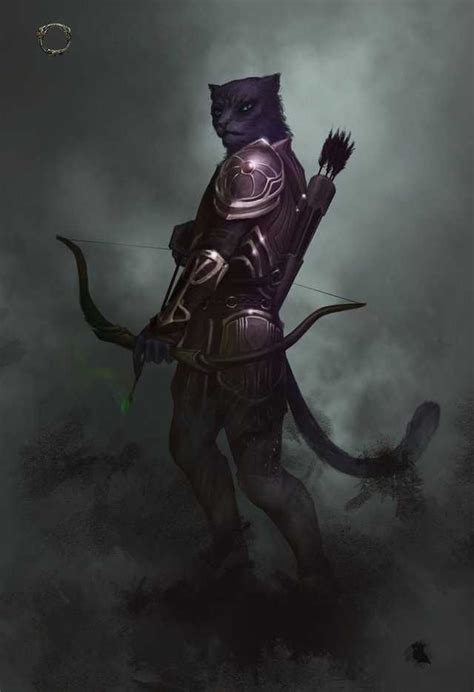 Dungeons And Dragons Tabaxi Inspirational Fantasy Character Design