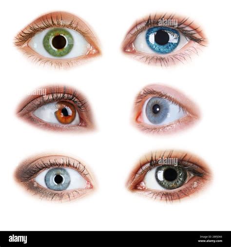 Collage Of Beautiful Female Eyes Isolated On White Stock Photo Alamy