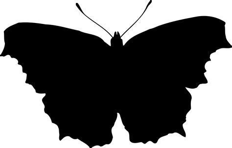 Free Butterfly Cliparts Silhouette Download Free Butterfly Cliparts