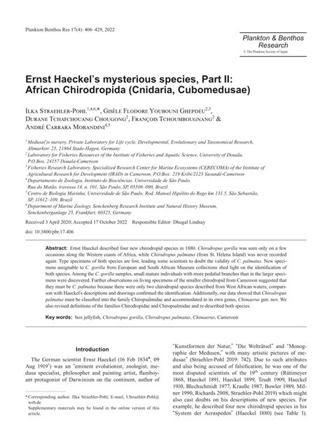 Pdf Ernst Haeckel S Mysterious Species Part Ii African Chirodropida