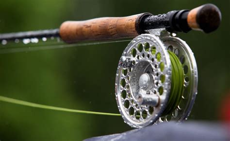Best Fly Rods For Bass 2023 Buyers Guide Into Fly Fishing