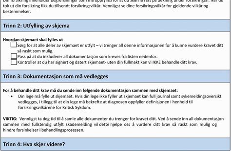Savelistrik: Skjema Fullmakt Pass Barn