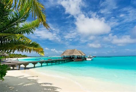 🌴 Maldives Holidays Book Now Pay Later