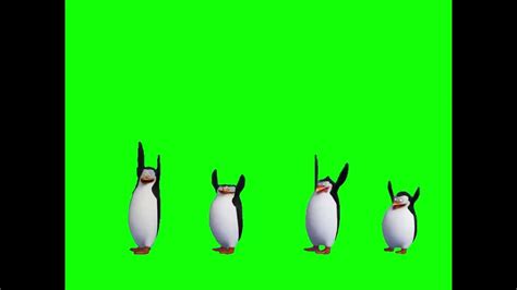 Greenscreen Dancing Penguins Of Madagascar Youtube