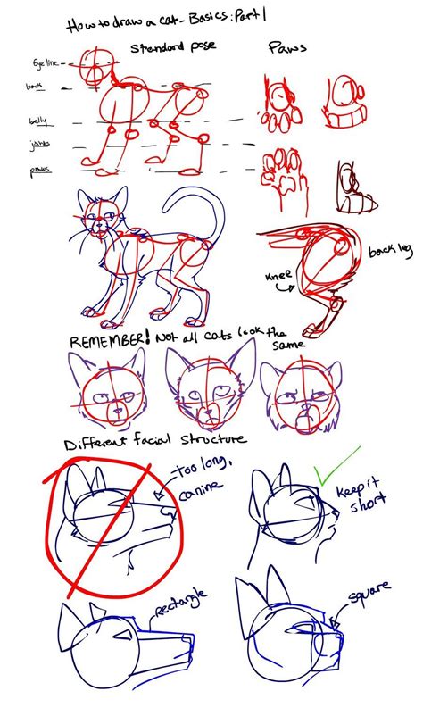 It's just a question of looking at the step by step guides and. How To Draw a Cat: Part 1 by Kytes on deviantART | Cat ...