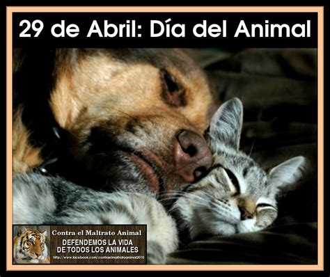 29 De Abril Día De Nuestros Amigos Los Animales Dr Albarracin Blog