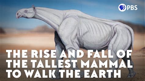 The Rise And Fall Of The Tallest Mammal To Walk The Earth Youtube