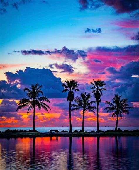🌴incredible Colourful Sunset In Miami 🌅😍 In 2020 Beautiful Nature
