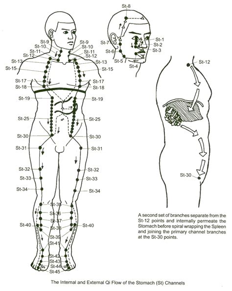 Stomach Meridian Foot Yang Brightness Pathway Chinese Medicine