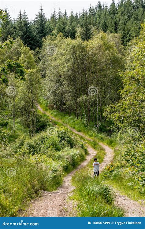 Child Walking On A Dirt Road Through A Forest Stock Image Image Of