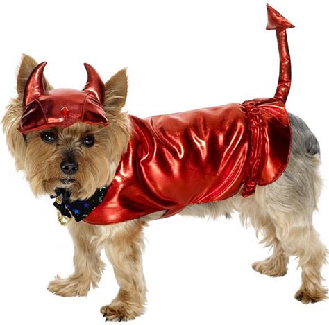 Top 10 Dog Halloween Costumespictures Of Dogs And All About Dog
