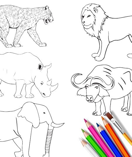 African Big Five Coloring Pages