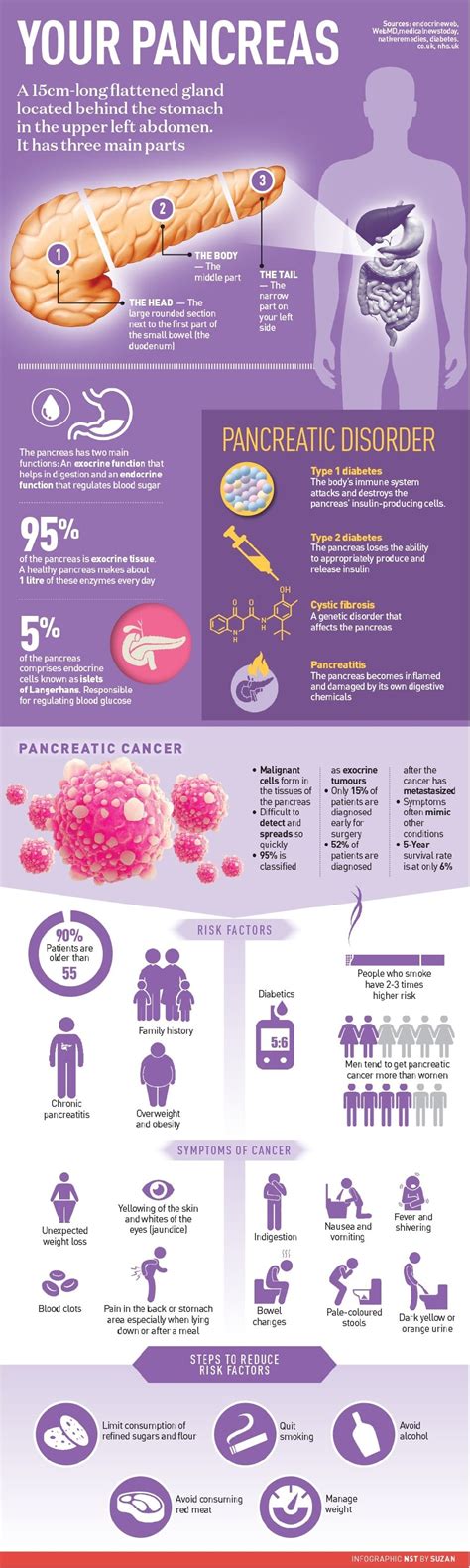 Infographics New Straits Times Malaysia General Business Sports And Lifestyle News