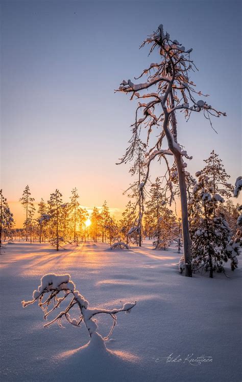 Winter Sunrise Finland By Asko Kuittinen ️🇫🇮 Sunset Photography