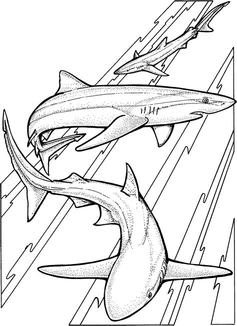 Shark Coloring Pages Learny Kids