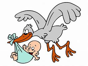 Image result for stork carrying baby