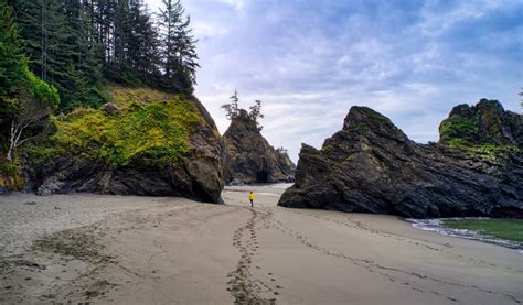 The 13 Best Things To See And Do On The Oregon Coast In 2024