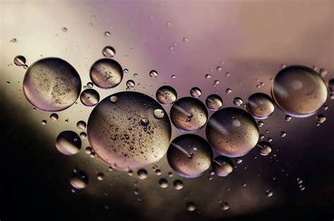 Amazing Macro Photography Reveals The Magical World Of Water Droplets Viewkick