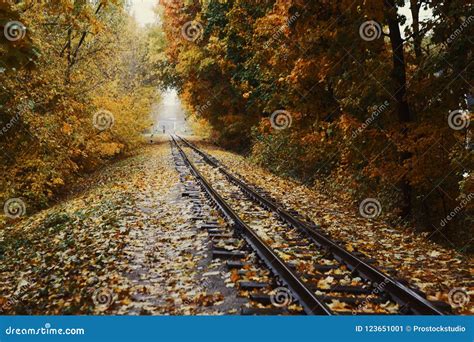 Fall Landscape Railway Tracks Running Through Autumn Forest Stock