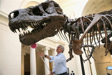 A written or printed representation of the letter t or t. Sue the T. Rex Roams the Halls of Chicago's Field Museum ...