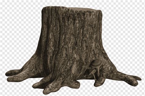 Log Coklat Batang Pohon Batang Pohon Cabang Kayu Bulu Png Pngwing