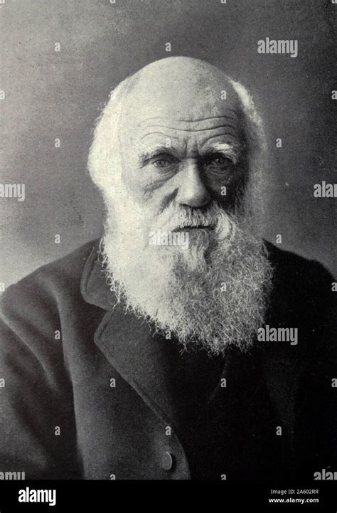 Charles Darwin 1809 1882 Stock Photo Alamy