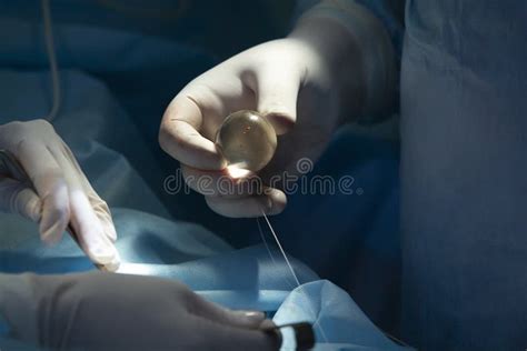 Testicle Silicone Implant Stock Image Image Of Close 209769627