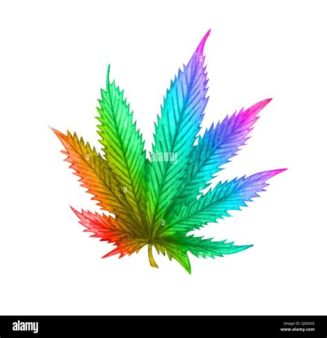 Rainbow Cannabis Leaf On White Background Hand Drawn Watercolor