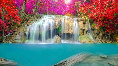 Image For Beautiful Waterfalls With Flowers Wallpaper For Iphone 09mcf