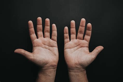 Hd Wallpaper Photography Of Left And Right Palms Hands Palm Hand
