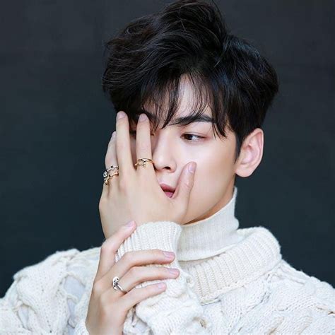 353,129 likes · 5,222 talking about this. Cha Eun Woo Instagram Profile - Korean Idol