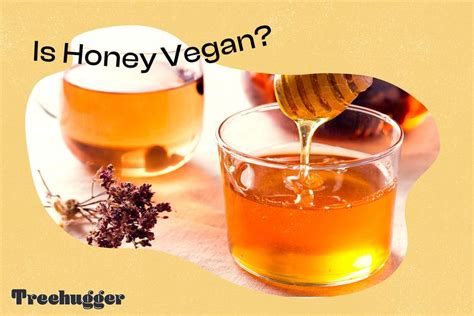 Is Honey Vegan The Ethics Of Small Animal Agriculture