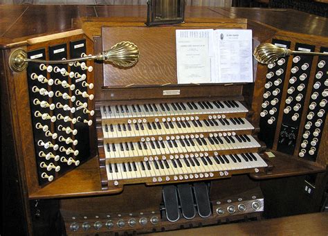 Organ Wiktionary