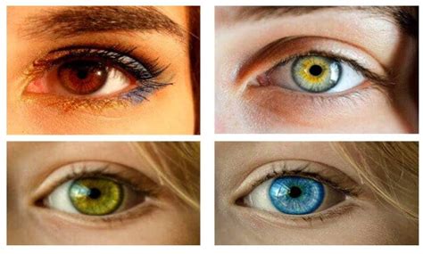 Mengapa Orang Memiliki Warna Mata Yang Berbeda Begini Penjelasannya