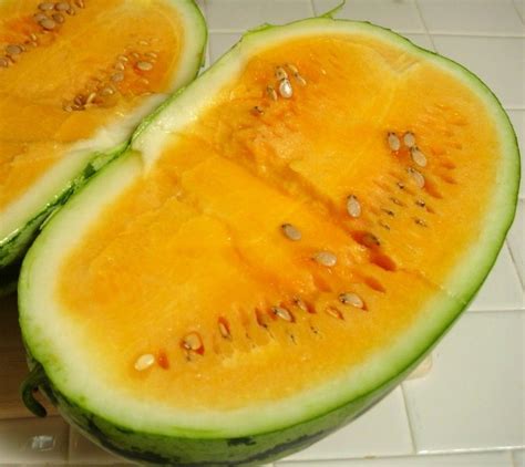 Shipped From Us Orangeglo Orange Flesh Watermelon Heirloom 100 Seeds