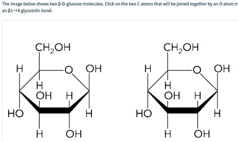 Solved The Image Below Shows Two β D Glucose Molecules