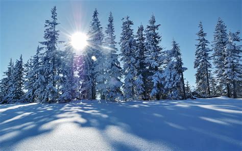 Download Wallpapers Winter Landscape Snow Trees Sun Mountains Snow Covered Trees Blue And