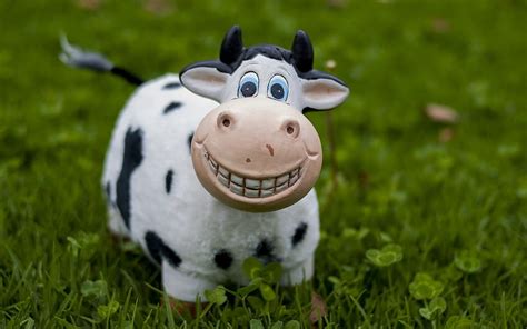 Smiling Cow Cow Toy Grass Smile Hd Wallpaper Pxfuel