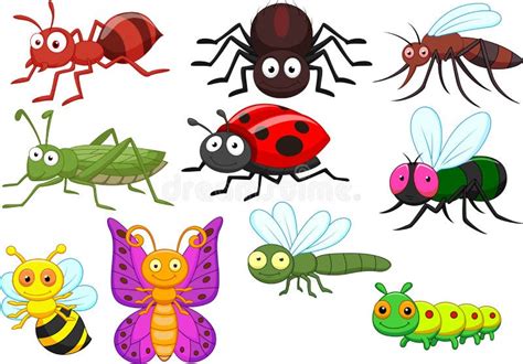 Insect Cartoon Collection Set Stock Vector Illustration Of Entomology