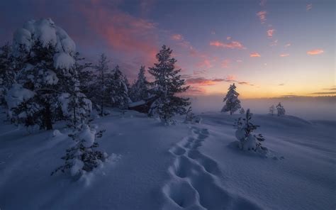 Fondos De Pantalla Invierno Nieve Naturaleza Puesta De Sol