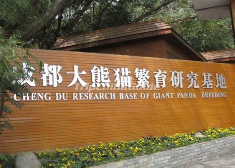 Chengdu Research Base Of Giant Panda Breeding Sichuan