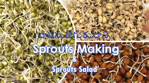 Sprouts Making Recipe In Telugu Sprouts Salad With Vegetables