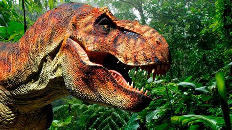 Dinosaurs Tyrannosaurus Tirex Is Preparing For A Battle Youtube