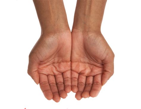 Cupped Hands Png Free Logo Image