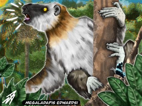 Megaladapis Edwardsi For World Lemur Day Rpaleontology