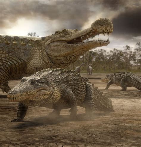 Sarcosuchus Facts Size Habitat Diet Fossils Pictures